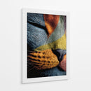 Gato colorido - DIEGO D L | Cuadro decorativo de Canvas Lab