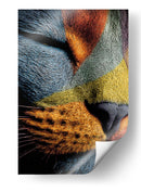 Gato colorido - DIEGO D L | Cuadro decorativo de Canvas Lab