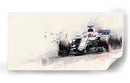 Conductor F1 - DIEGO D L | Cuadro decorativo de Canvas Lab