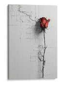 Rosa - DIEGO D L | Cuadro decorativo de Canvas Lab