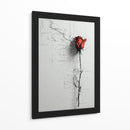 Rosa - DIEGO D L | Cuadro decorativo de Canvas Lab