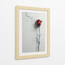 Rosa - DIEGO D L | Cuadro decorativo de Canvas Lab