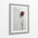 Rosa - DIEGO D L | Cuadro decorativo de Canvas Lab