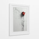 Rosa - DIEGO D L | Cuadro decorativo de Canvas Lab