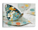 Mariposa - DIEGO D L | Cuadro decorativo de Canvas Lab