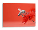 Contraste de abeja - DIEGO D L | Cuadro decorativo de Canvas Lab