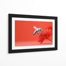 Contraste de abeja - DIEGO D L | Cuadro decorativo de Canvas Lab