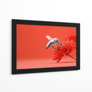 Contraste de abeja - DIEGO D L | Cuadro decorativo de Canvas Lab