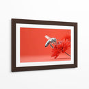 Contraste de abeja - DIEGO D L | Cuadro decorativo de Canvas Lab