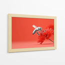 Contraste de abeja - DIEGO D L | Cuadro decorativo de Canvas Lab