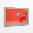 Contraste de abeja - DIEGO D L | Cuadro decorativo de Canvas Lab