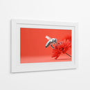 Contraste de abeja - DIEGO D L | Cuadro decorativo de Canvas Lab