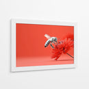 Contraste de abeja - DIEGO D L | Cuadro decorativo de Canvas Lab