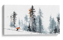 Esquiador en contraste de la nieve - DIEGO D L | Cuadro decorativo de Canvas Lab