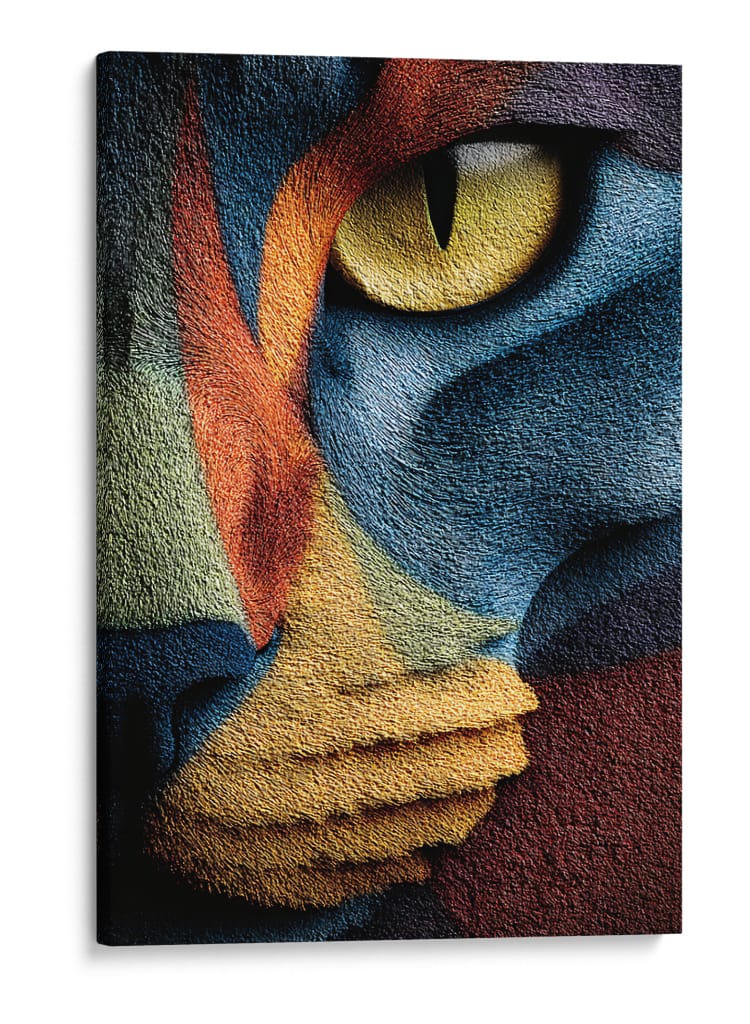 Gato II - DIEGO D L | Cuadro decorativo de Canvas Lab