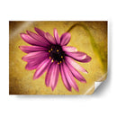 Fucsia Daisy Iv - Honey Malek | Cuadro decorativo de Canvas Lab
