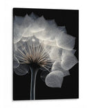 Diente de león  - DIEGO D L | Cuadro decorativo de Canvas Lab