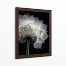 Diente de león  - DIEGO D L | Cuadro decorativo de Canvas Lab