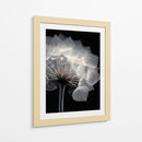 Diente de león  - DIEGO D L | Cuadro decorativo de Canvas Lab
