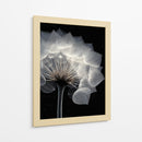 Diente de león  - DIEGO D L | Cuadro decorativo de Canvas Lab