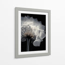 Diente de león  - DIEGO D L | Cuadro decorativo de Canvas Lab