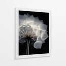Diente de león  - DIEGO D L | Cuadro decorativo de Canvas Lab