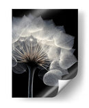 Diente de león  - DIEGO D L | Cuadro decorativo de Canvas Lab