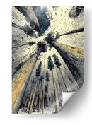 Bosque - DIEGO D L | Cuadro decorativo de Canvas Lab