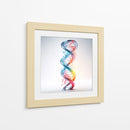 ADN - Cecilia Flores | Cuadro decorativo de Canvas Lab