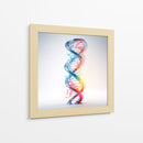 ADN - Cecilia Flores | Cuadro decorativo de Canvas Lab