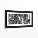 Gatos II - Cecilia Flores | Cuadro decorativo de Canvas Lab