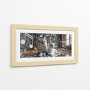 Gatos II - Cecilia Flores | Cuadro decorativo de Canvas Lab