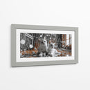 Gatos II - Cecilia Flores | Cuadro decorativo de Canvas Lab