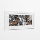 Gatos II - Cecilia Flores | Cuadro decorativo de Canvas Lab