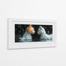 Gatos musicales - Cecilia Flores | Cuadro decorativo de Canvas Lab