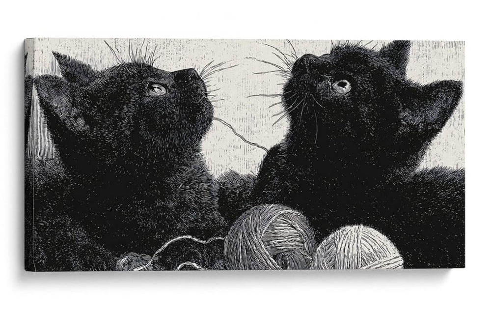 Gatos Negros - DIEGO D L | Cuadro decorativo de Canvas Lab