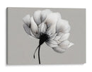 Blanco y negro de diente de leon - DIEGO D L | Cuadro decorativo de Canvas Lab