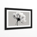 Blanco y negro de diente de leon - DIEGO D L | Cuadro decorativo de Canvas Lab