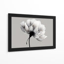 Blanco y negro de diente de leon - DIEGO D L | Cuadro decorativo de Canvas Lab
