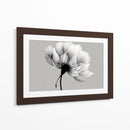 Blanco y negro de diente de leon - DIEGO D L | Cuadro decorativo de Canvas Lab