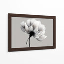 Blanco y negro de diente de leon - DIEGO D L | Cuadro decorativo de Canvas Lab