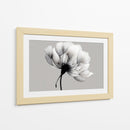 Blanco y negro de diente de leon - DIEGO D L | Cuadro decorativo de Canvas Lab