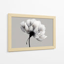 Blanco y negro de diente de leon - DIEGO D L | Cuadro decorativo de Canvas Lab