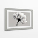 Blanco y negro de diente de leon - DIEGO D L | Cuadro decorativo de Canvas Lab