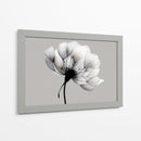 Blanco y negro de diente de leon - DIEGO D L | Cuadro decorativo de Canvas Lab