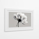 Blanco y negro de diente de leon - DIEGO D L | Cuadro decorativo de Canvas Lab