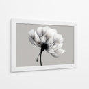 Blanco y negro de diente de leon - DIEGO D L | Cuadro decorativo de Canvas Lab