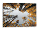 Grandes alturas - DIEGO D L | Cuadro decorativo de Canvas Lab