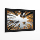 Grandes alturas - DIEGO D L | Cuadro decorativo de Canvas Lab