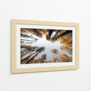 Grandes alturas - DIEGO D L | Cuadro decorativo de Canvas Lab